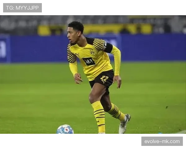 雷吉纳球队重组计划发布，迎接新赛季挑战的全新阵容备受关注