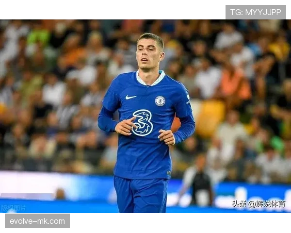 赖斯是否只是纯防守型中场？战术角色与全能性分析