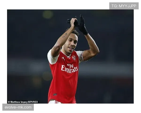 阿赫利冲击顶级行列进程持续，关键赛季表现是否迎来转折